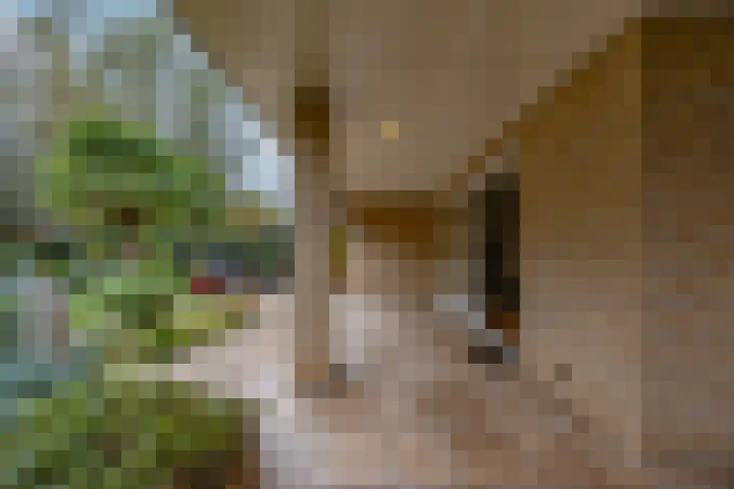 Park Hoornwijck 25 Rijswijk thumbnail 25