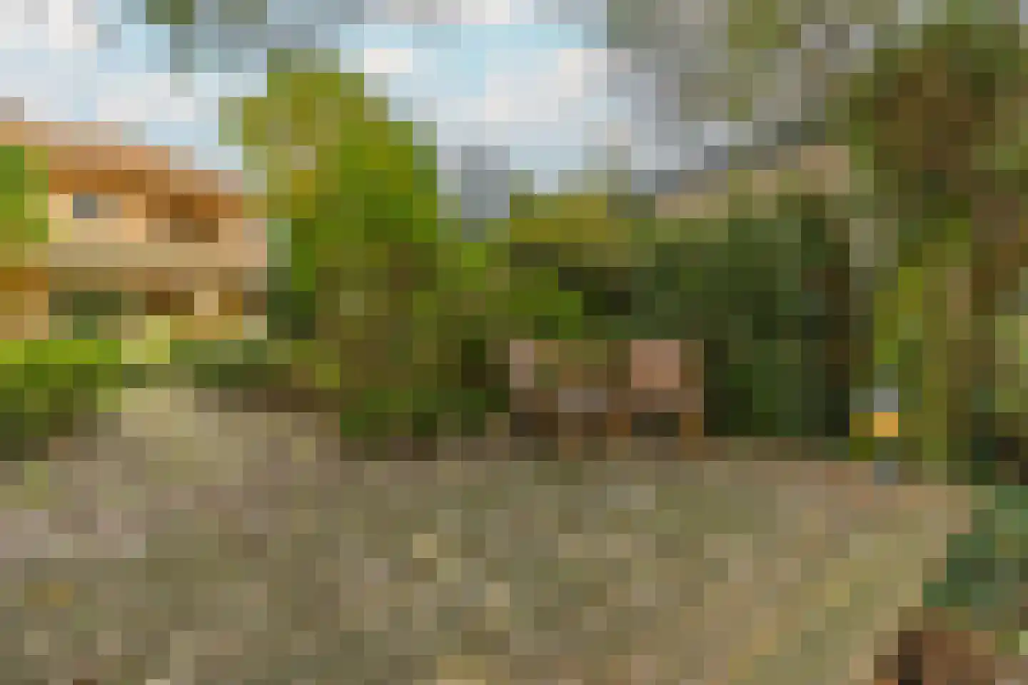 Park Hoornwijck 25 Rijswijk thumbnail 31