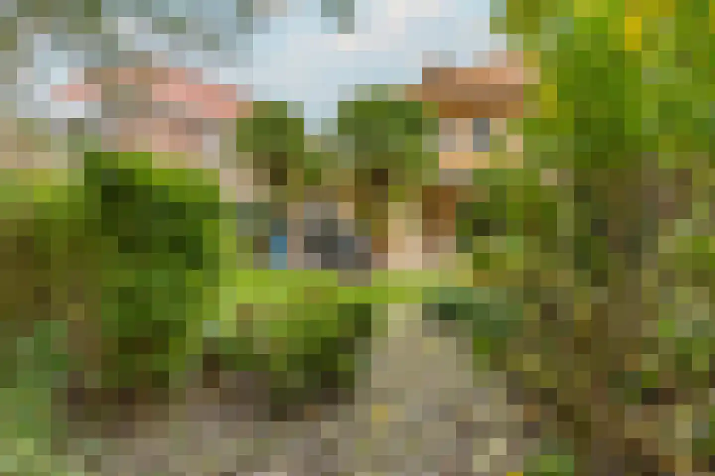 Park Hoornwijck 25 Rijswijk thumbnail 32