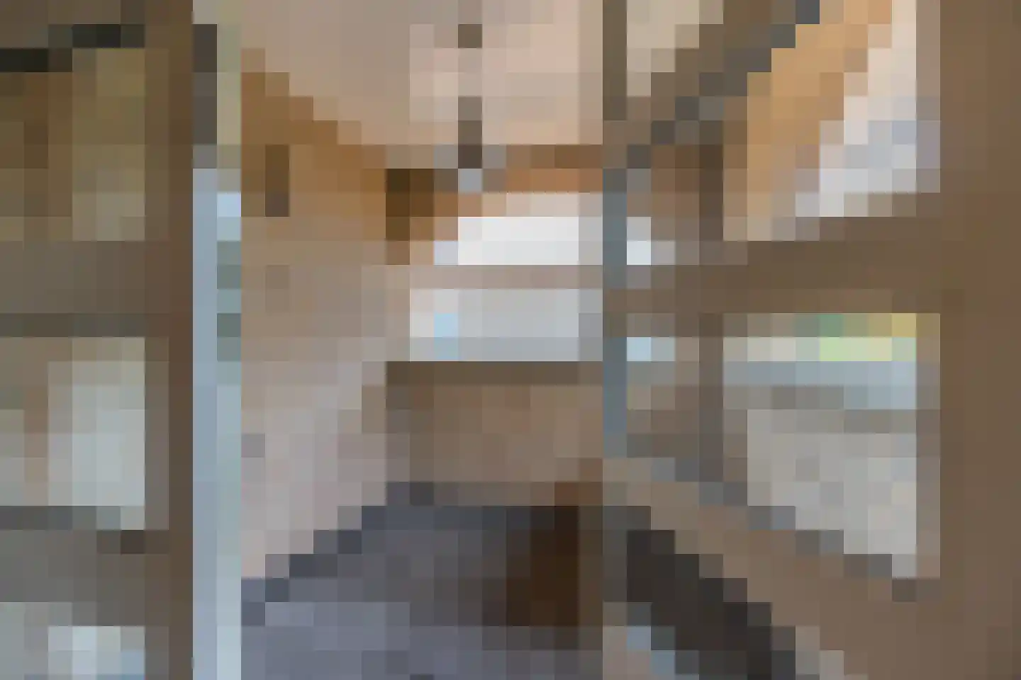 Park Hoornwijck 25 Rijswijk thumbnail 40