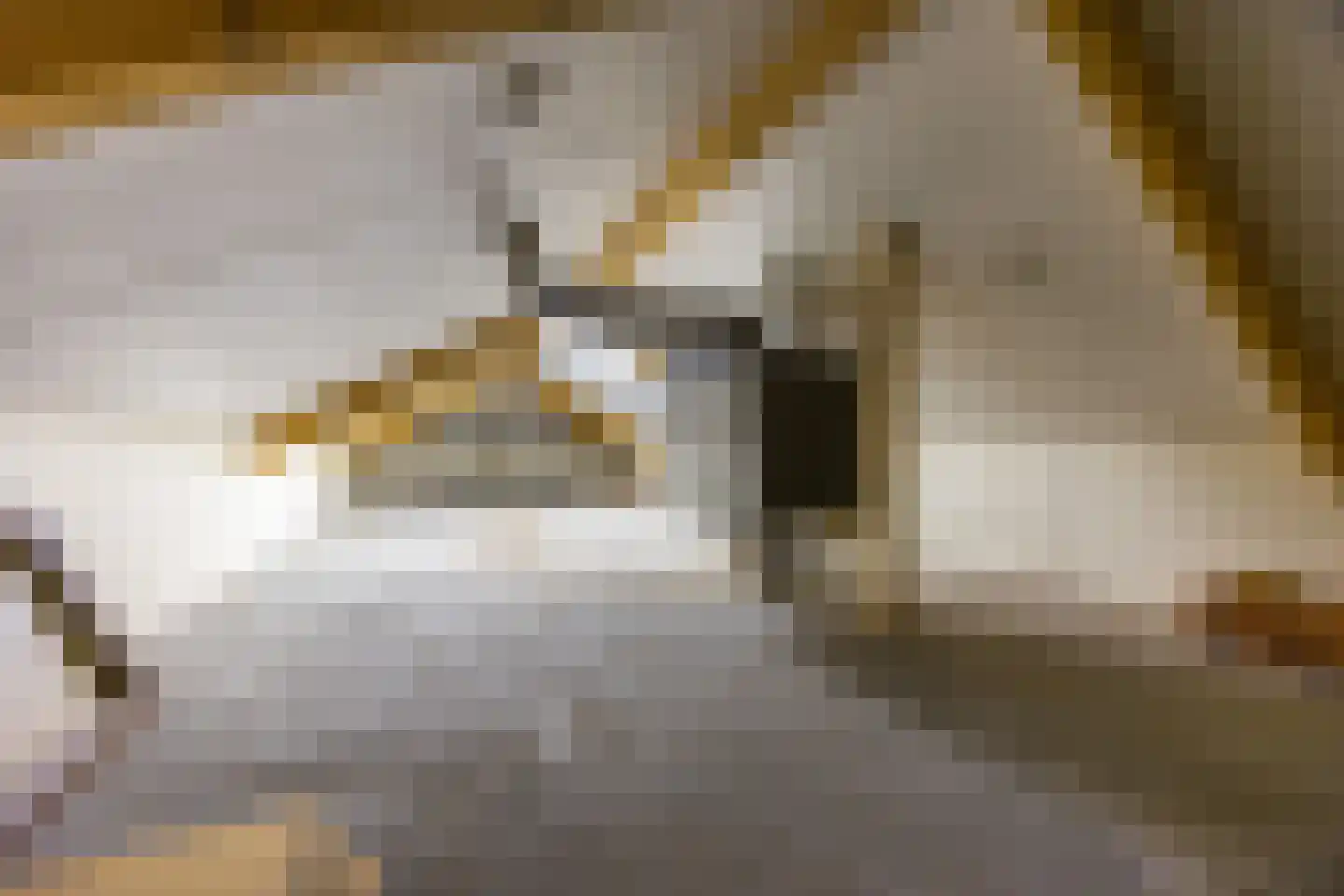 Park Hoornwijck 25 Rijswijk thumbnail 55