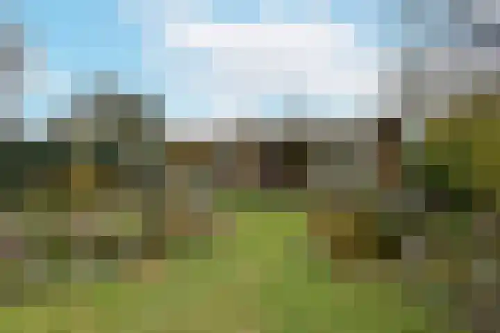 Park Kromme Mijdrecht 45 in Zevenhoven