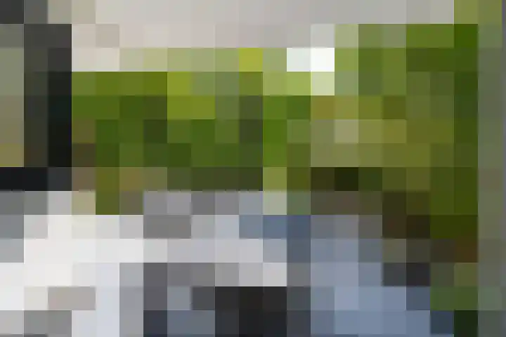 Park Leeuwensteijn 2 A Voorburg thumbnail 16