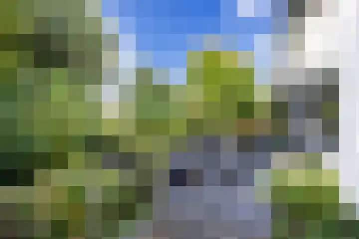 Park Leeuwensteijn 2 A Voorburg thumbnail 24