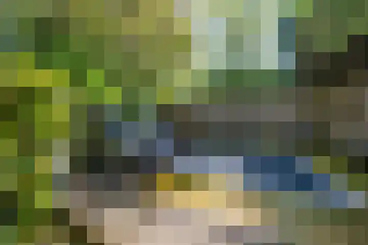Park Leeuwensteijn 2 A Voorburg thumbnail 28