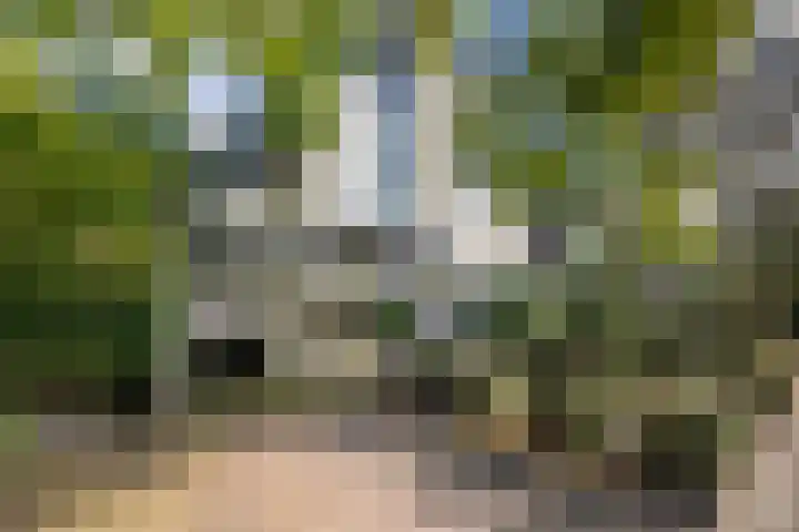 Park Leeuwensteijn 2 A Voorburg thumbnail 52