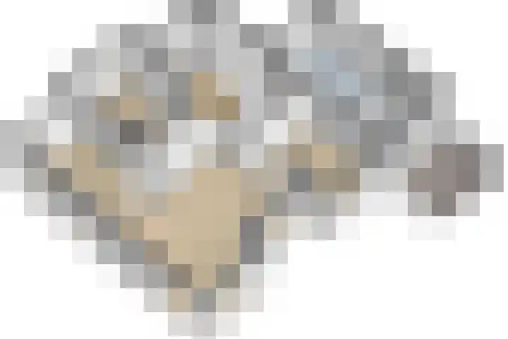 Park Leeuwensteijn 2 A Voorburg thumbnail 63