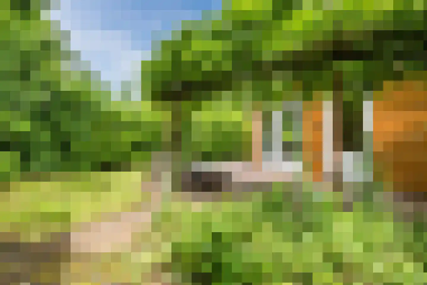 Park Oase 19 Tuitjenhorn thumbnail 25