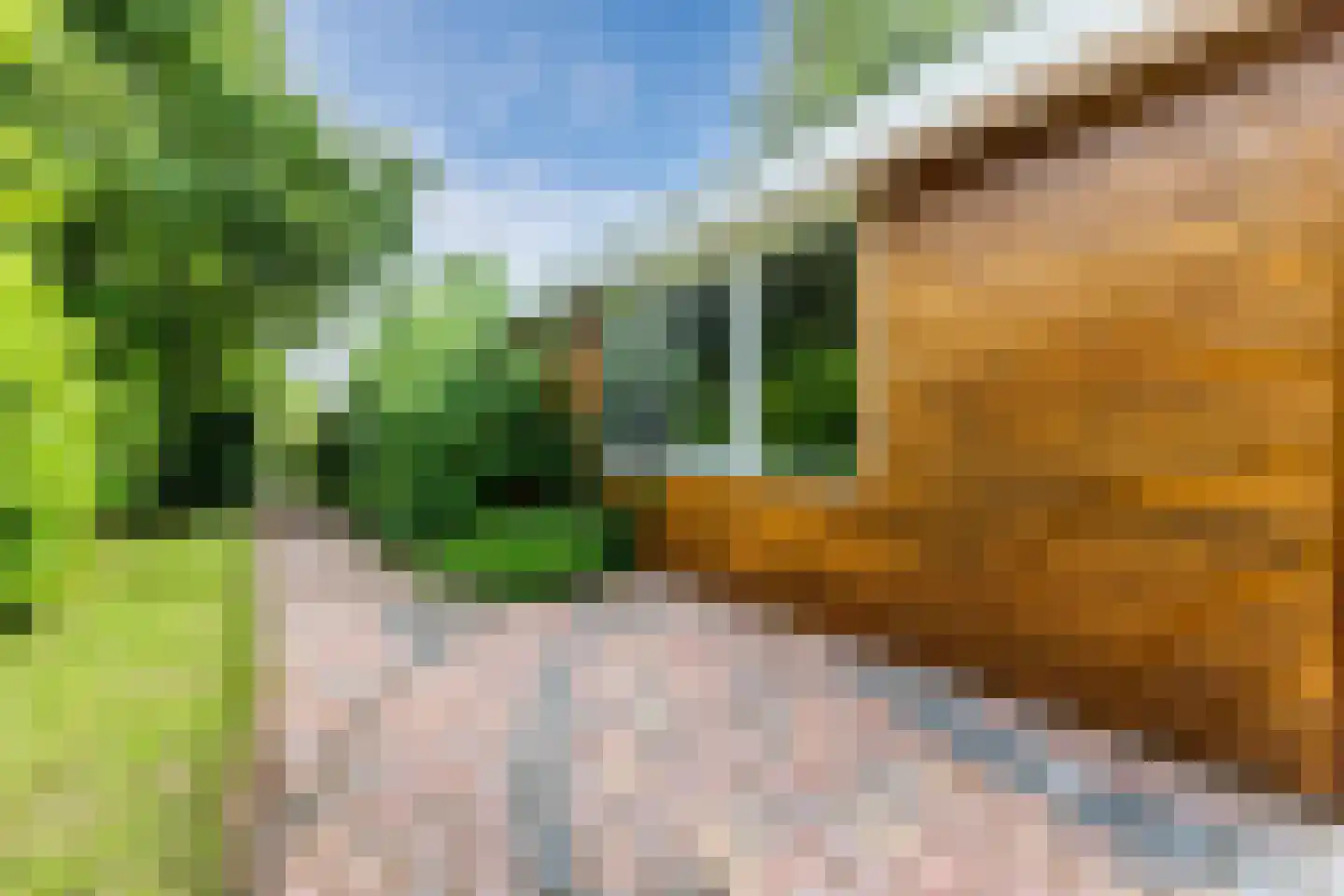Park Oase 19 Tuitjenhorn thumbnail 26