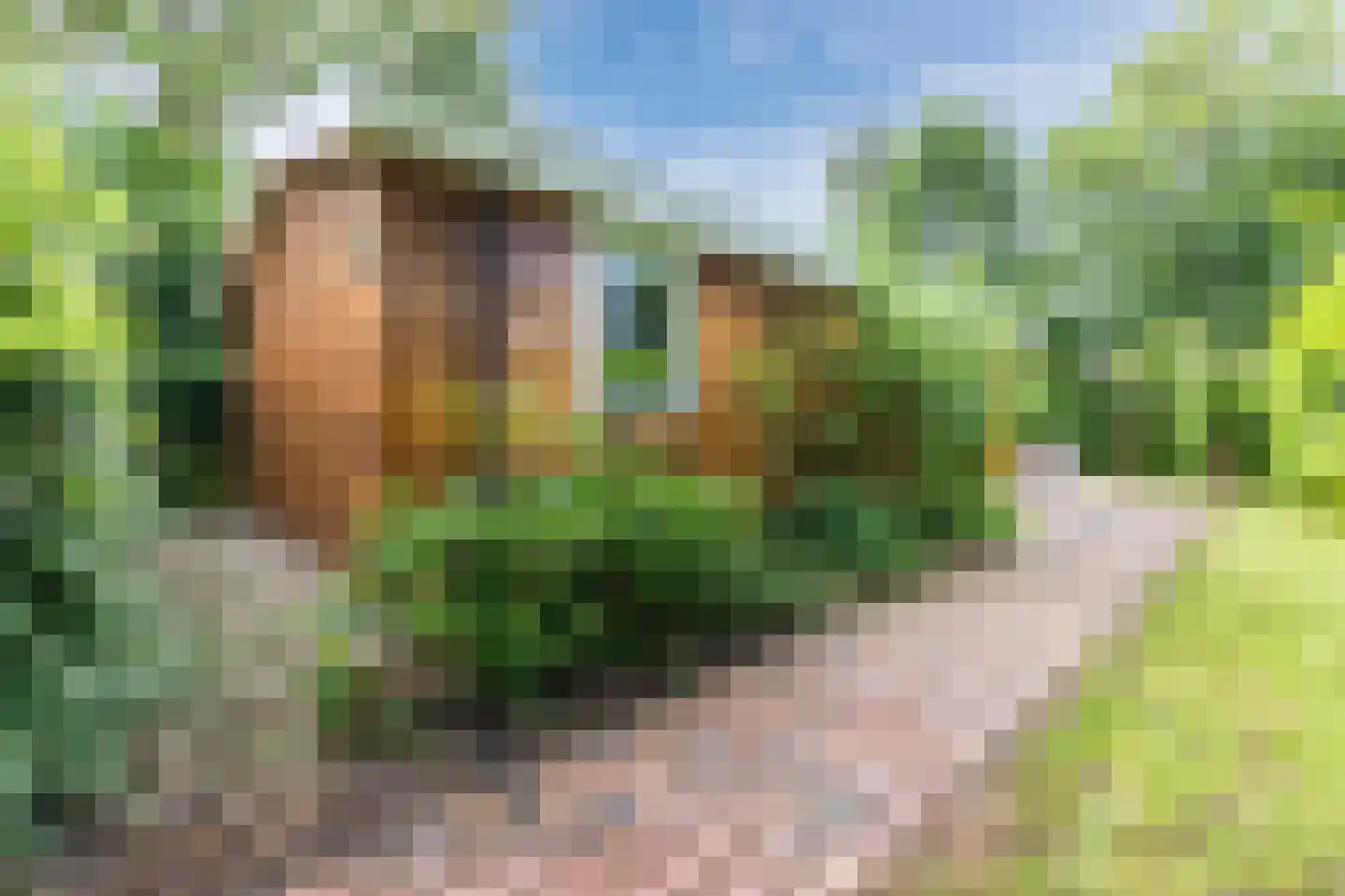 Park Oase 19 Tuitjenhorn thumbnail 27