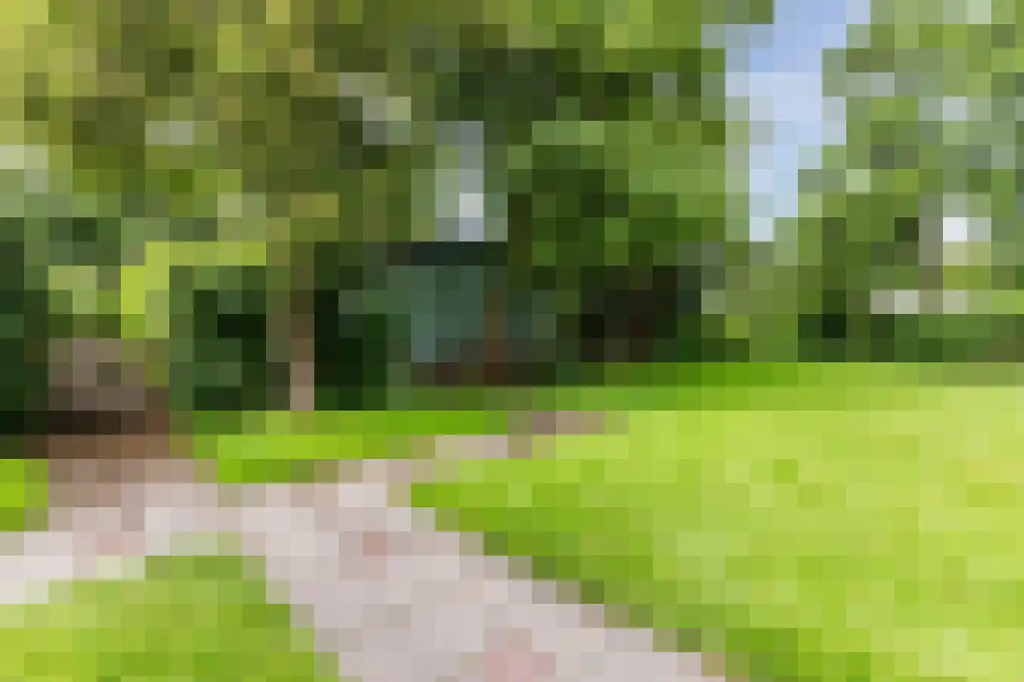 Park Oase 19 Tuitjenhorn thumbnail 28