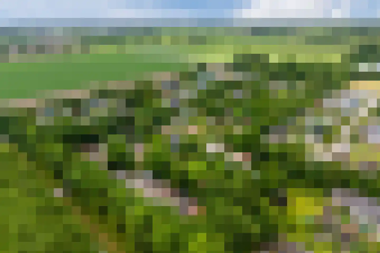 Park Oase 19 Tuitjenhorn thumbnail 29