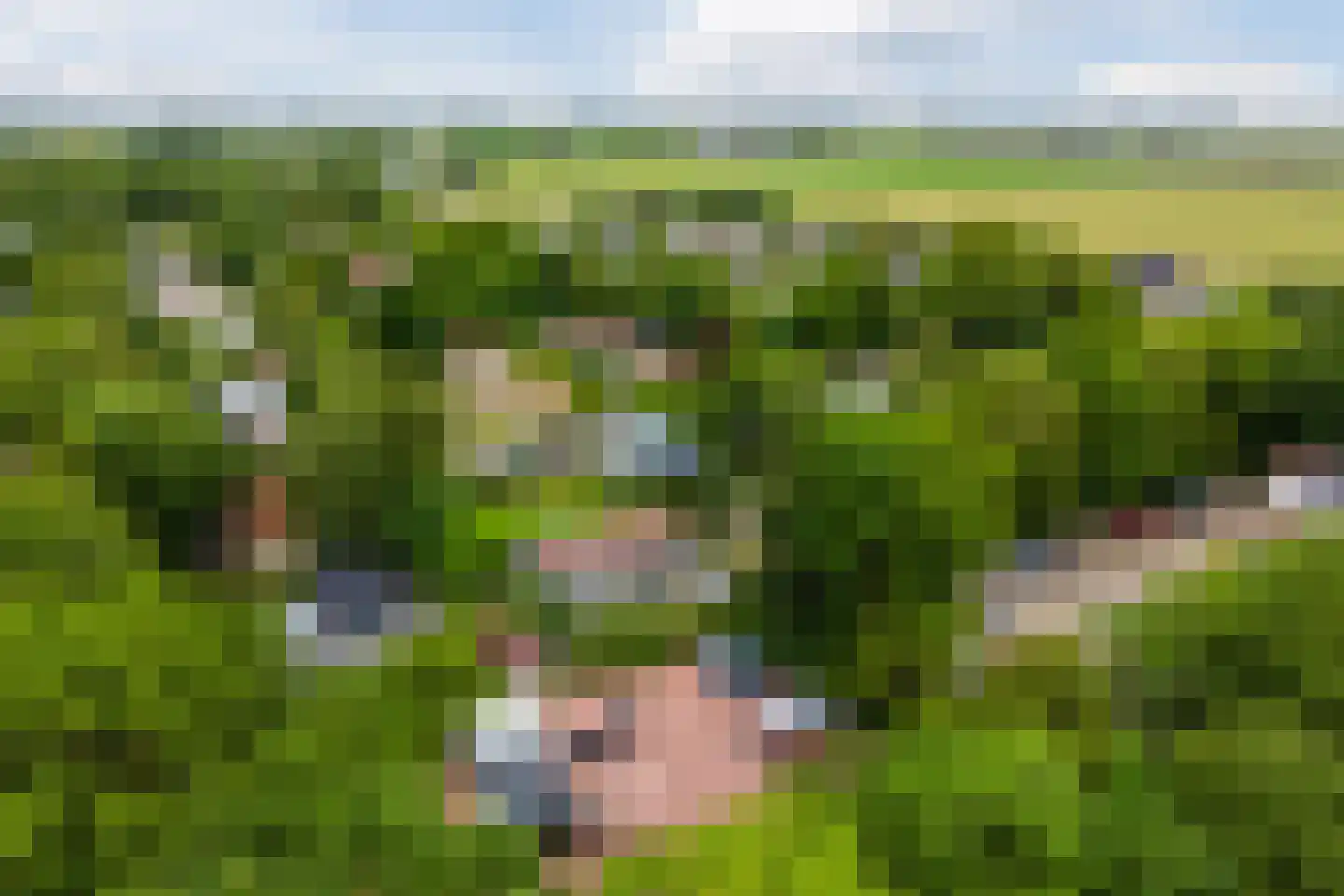 Park Oase 19 Tuitjenhorn thumbnail 30