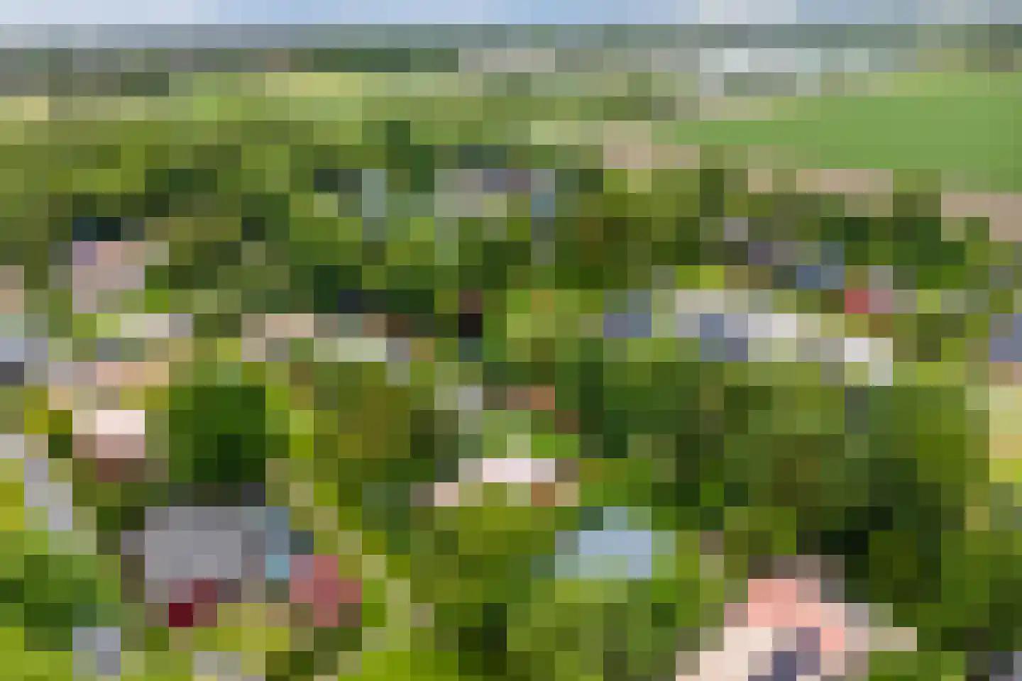 Park Oase 19 Tuitjenhorn thumbnail 31