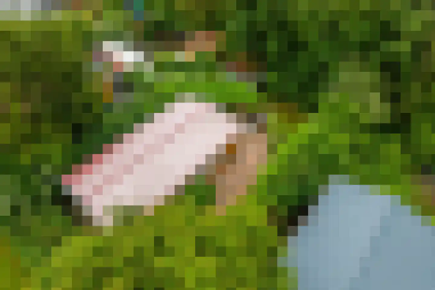 Park Oase 19 Tuitjenhorn thumbnail 32