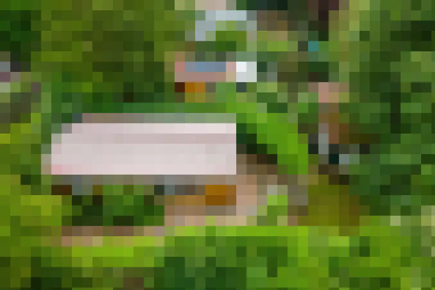 Park Oase 19 Tuitjenhorn thumbnail 33