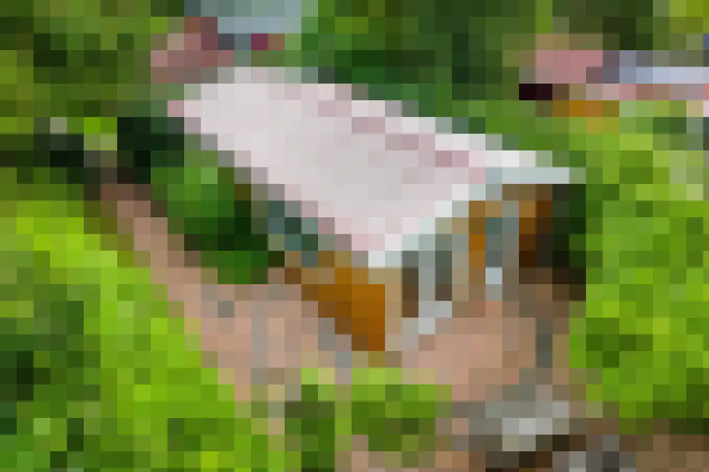 Park Oase 19 Tuitjenhorn thumbnail 34