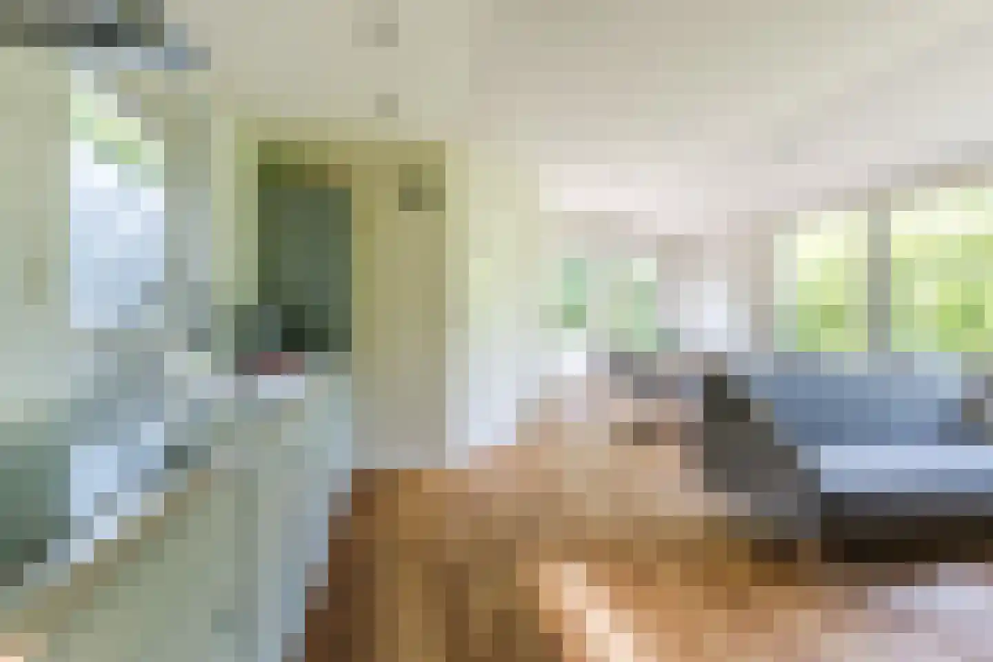 Park Oase 19 Tuitjenhorn thumbnail 4