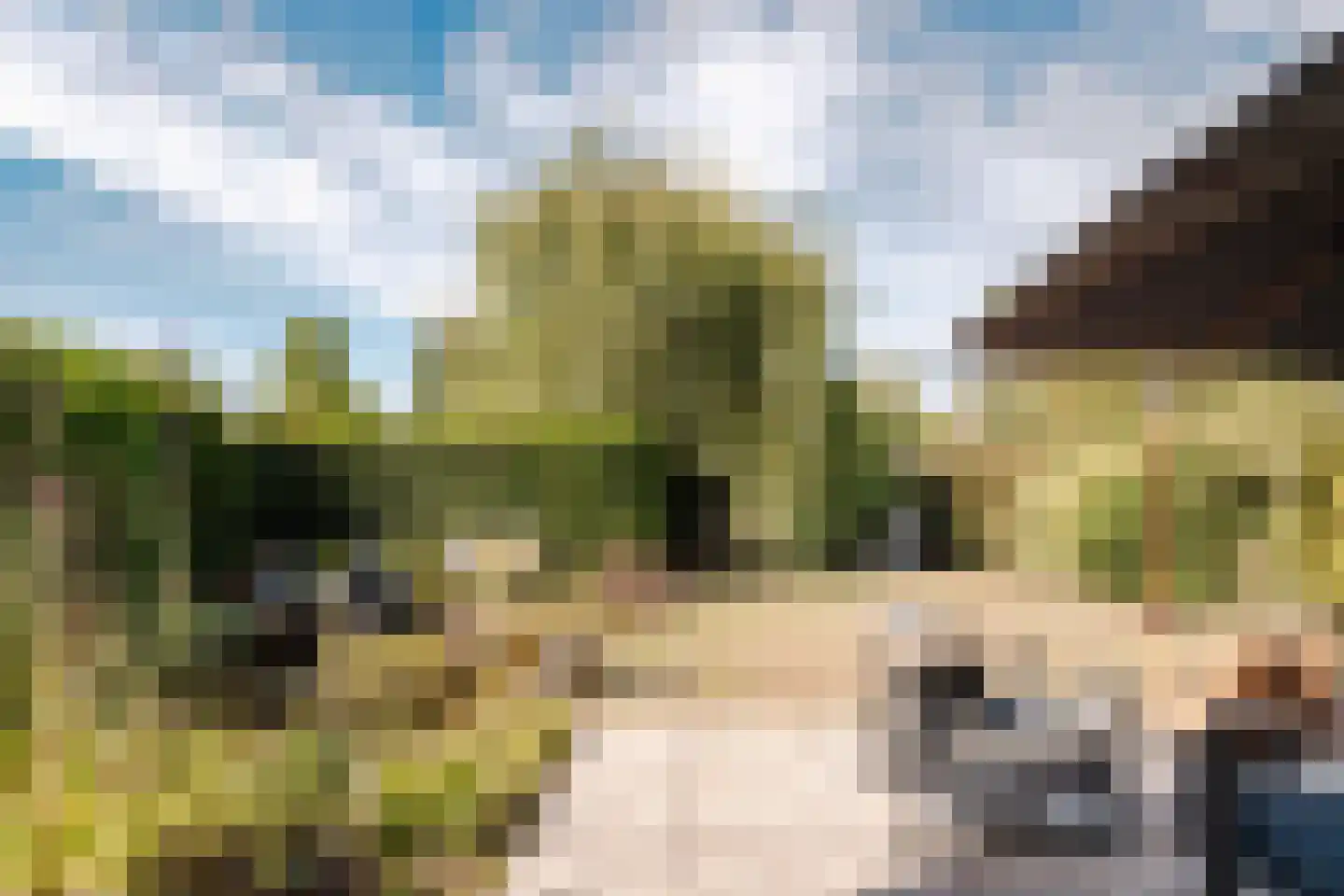 Park Oosterspaarn 16 Haarlem thumbnail 17