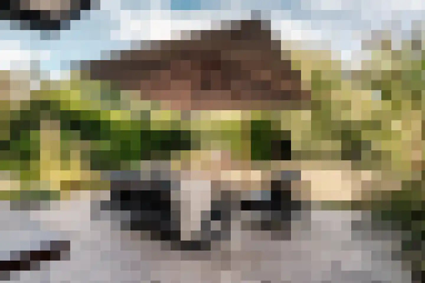 Park Oosterspaarn 16 Haarlem thumbnail 18