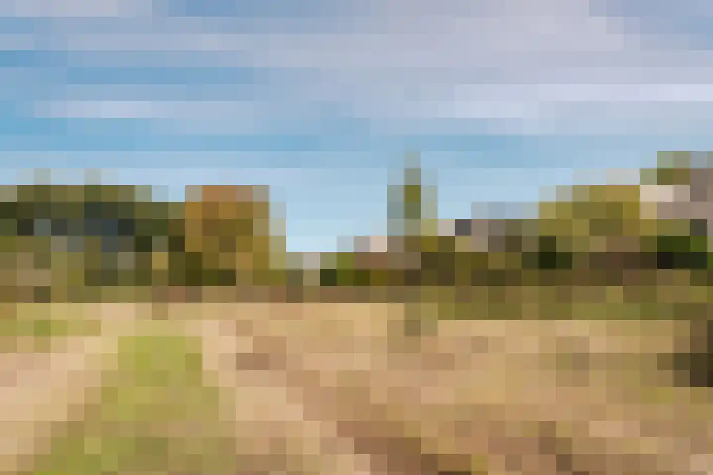 Park Oosterspaarn 16 Haarlem thumbnail 24