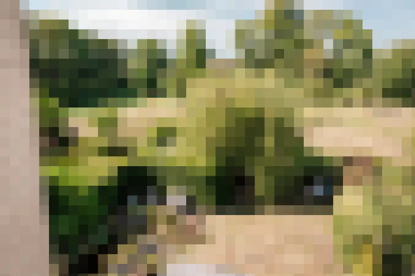Park Oosterspaarn 16 Haarlem thumbnail 37