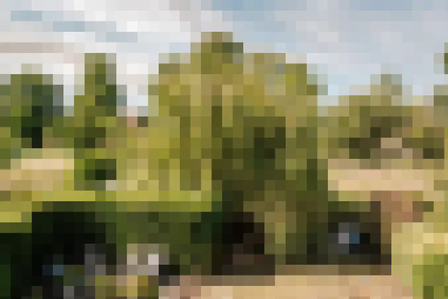 Park Oosterspaarn 16 Haarlem thumbnail 53
