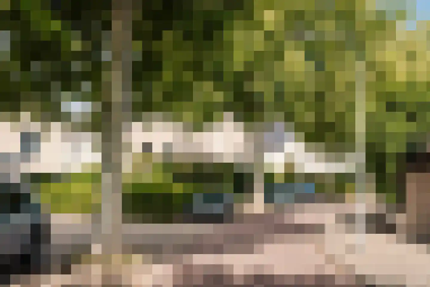 Park Oosterspaarn 16 Haarlem thumbnail 59
