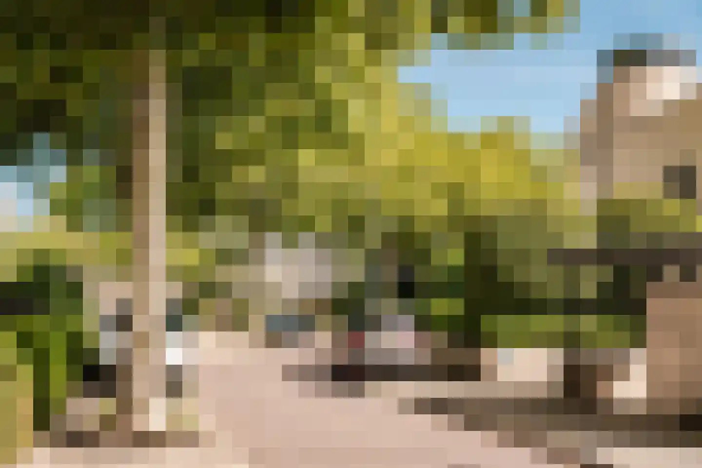 Park Oosterspaarn 16 Haarlem thumbnail 60