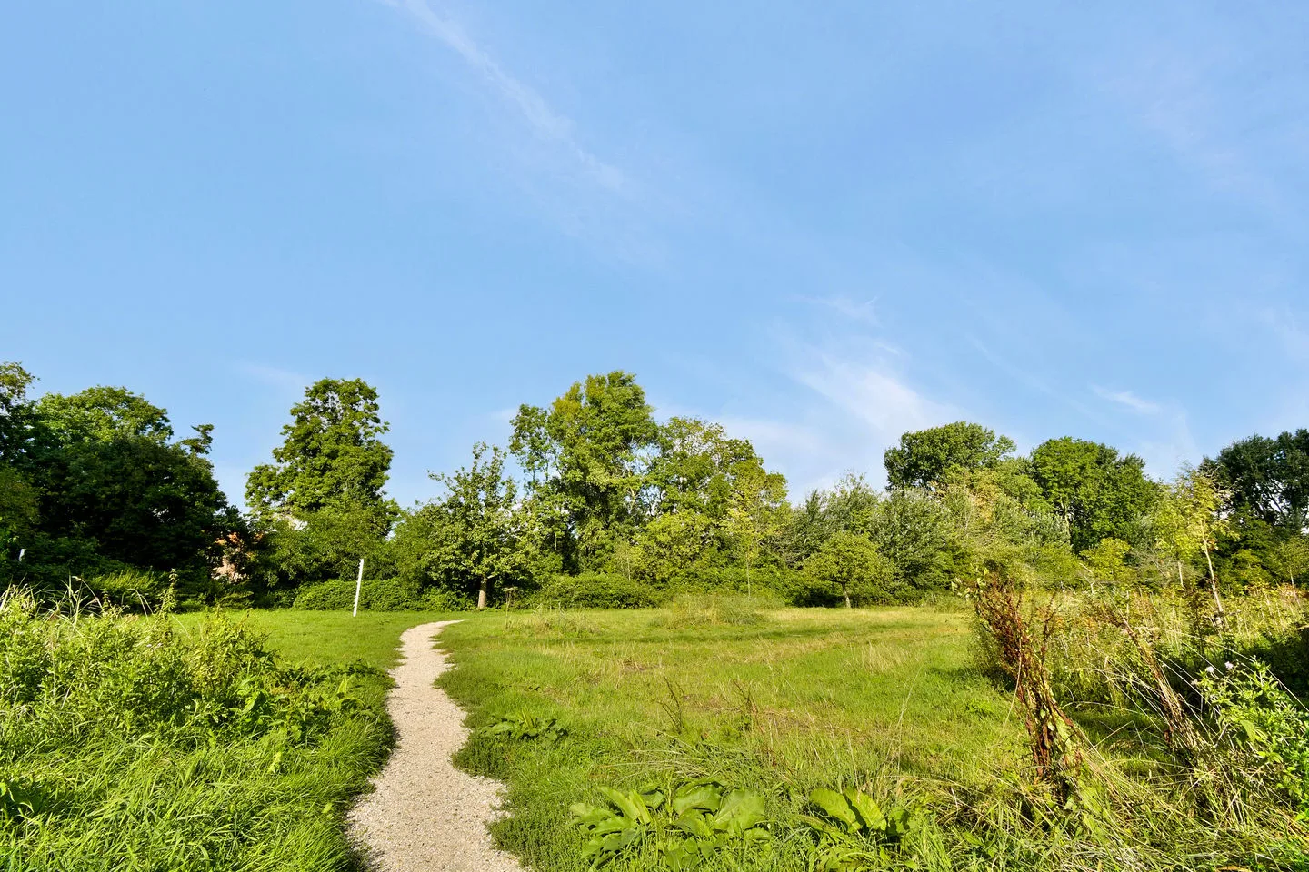 Park Oosterspaarn 22 Haarlem thumbnail 67