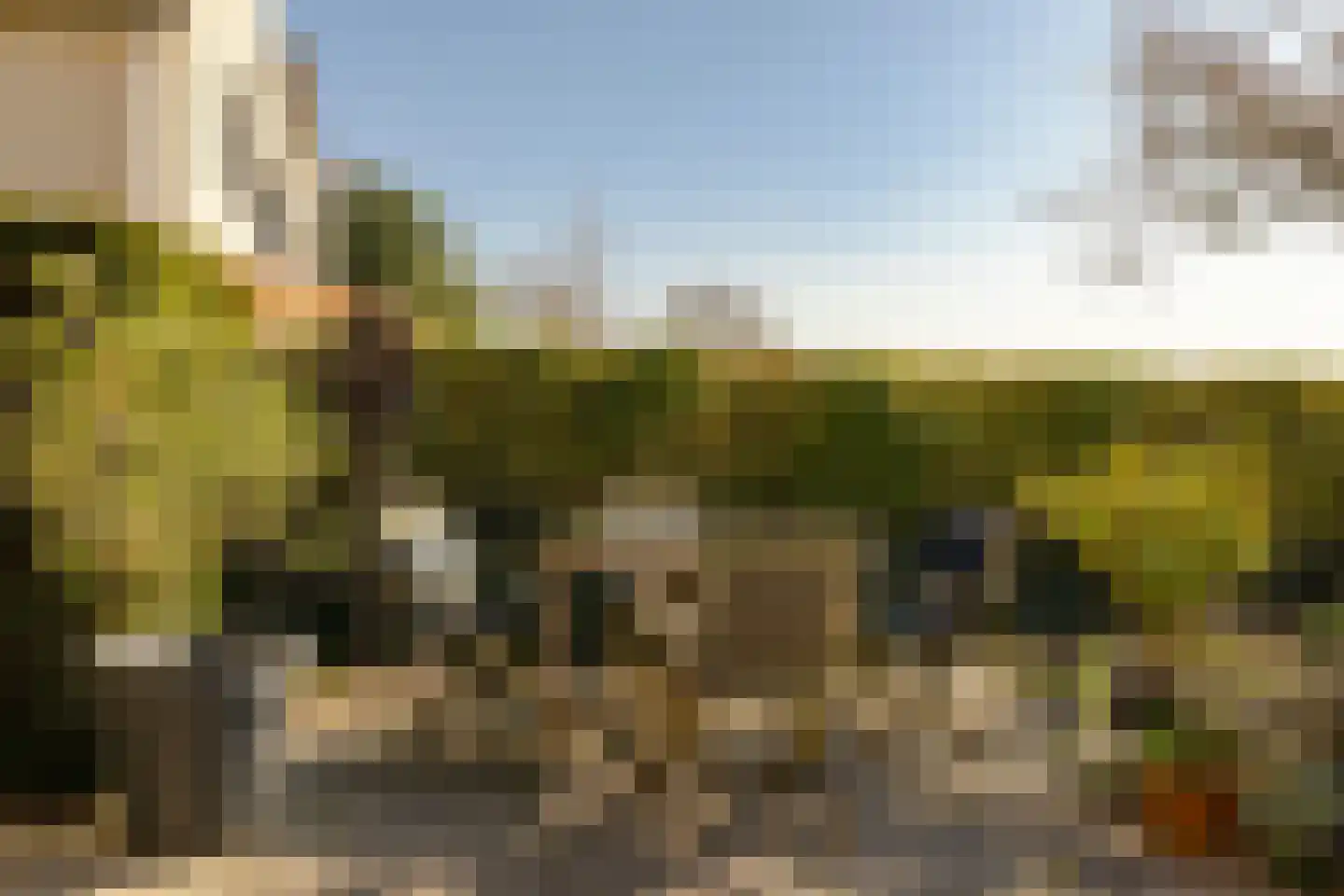 Park Oosterspaarn 36 Haarlem thumbnail 18