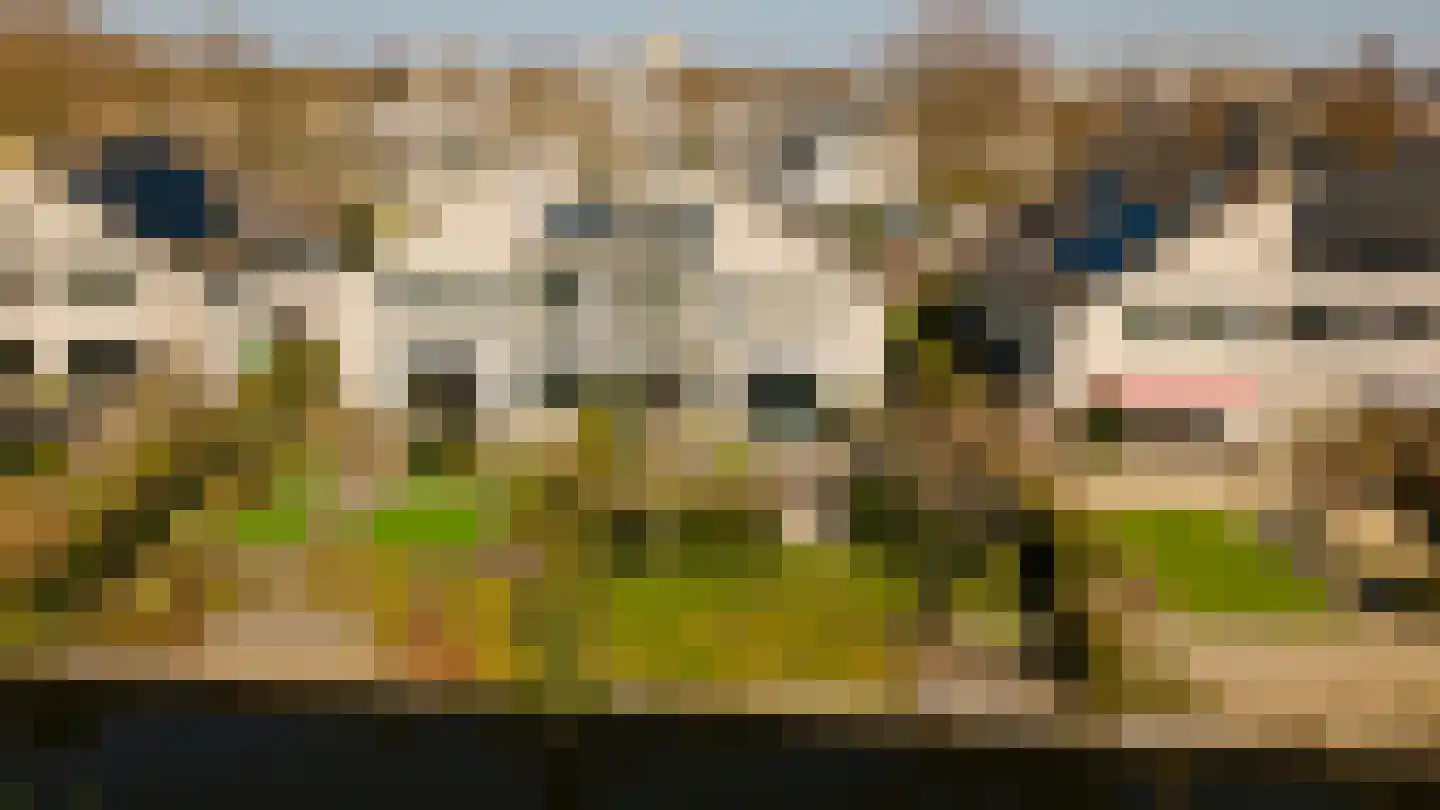 Park Oosterspaarn 36 Haarlem thumbnail 46