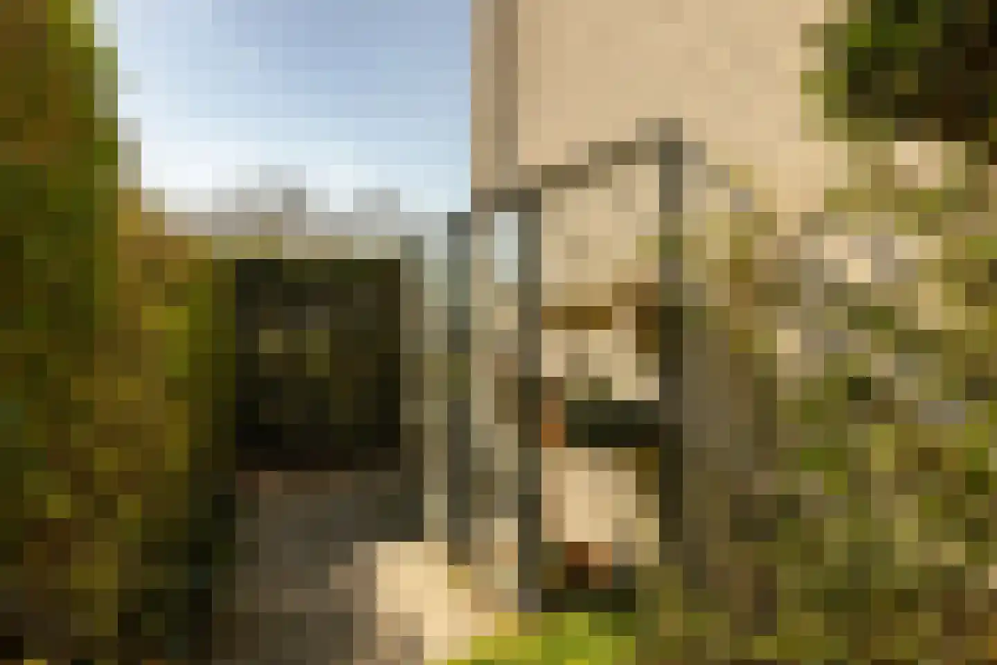 Park Oosterspaarn 36 Haarlem thumbnail 9