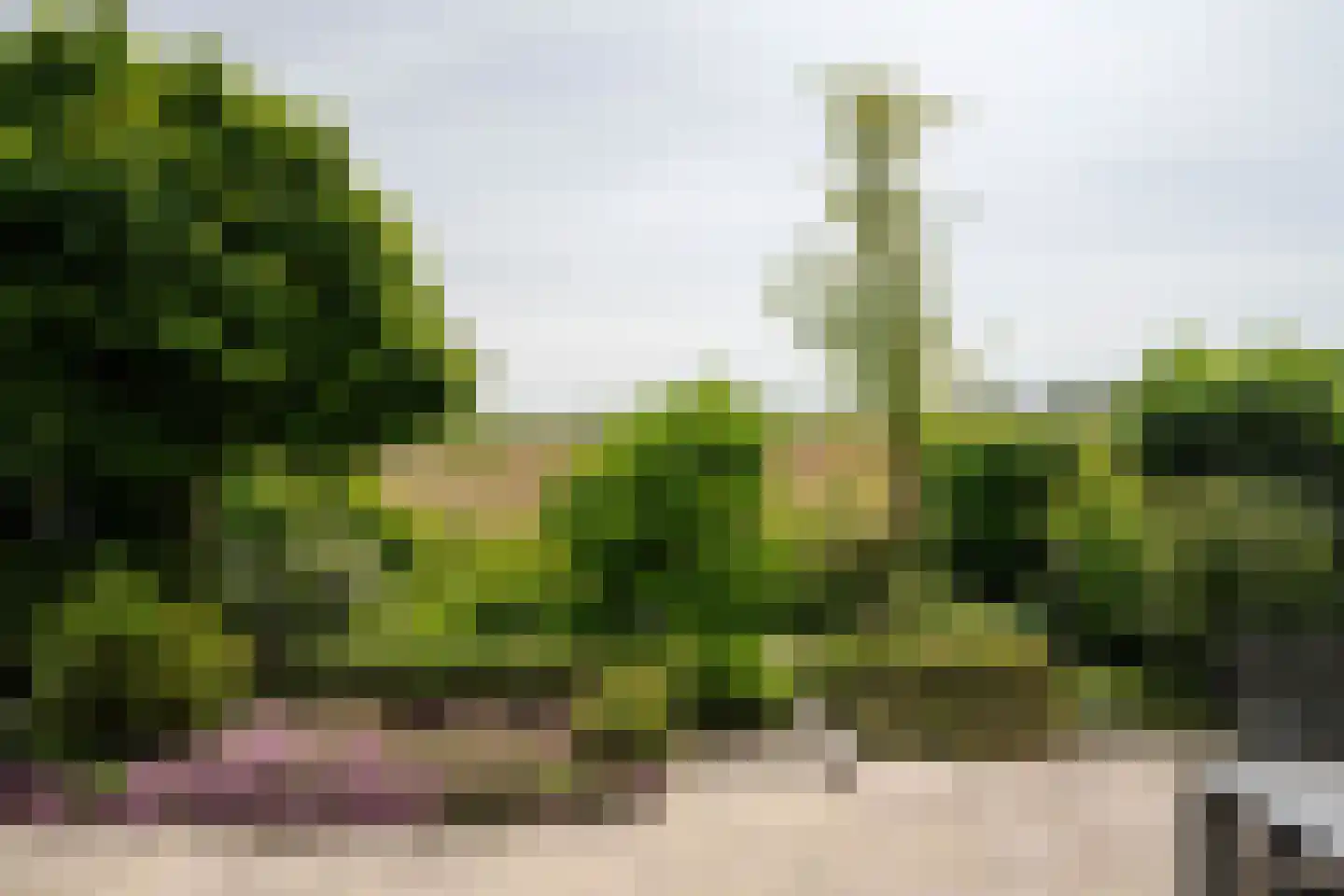 Park Oosterspaarn 44 Haarlem thumbnail 21