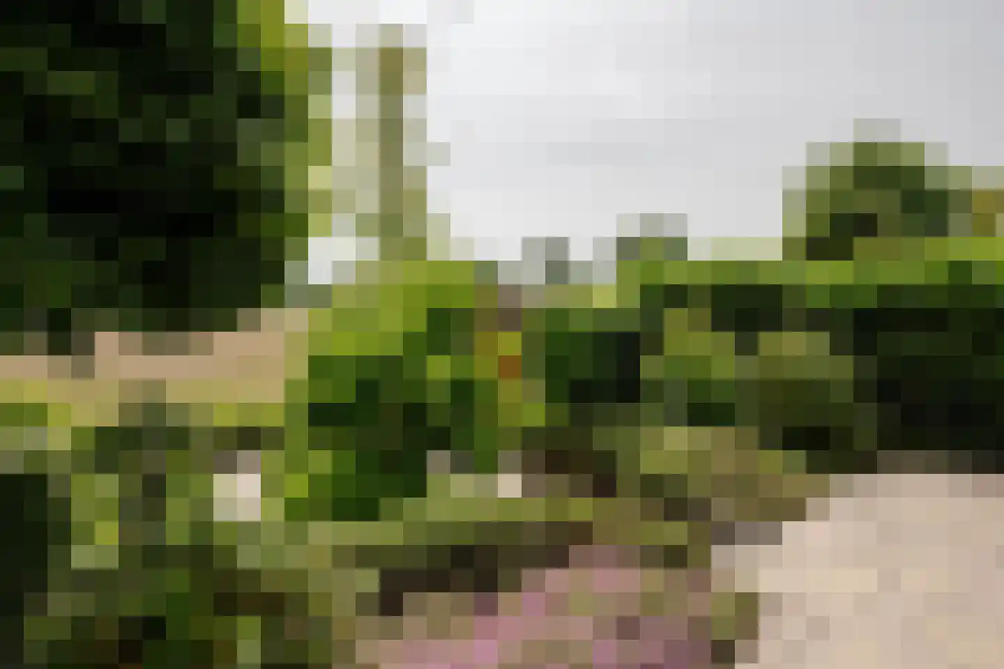Park Oosterspaarn 44 Haarlem thumbnail 24