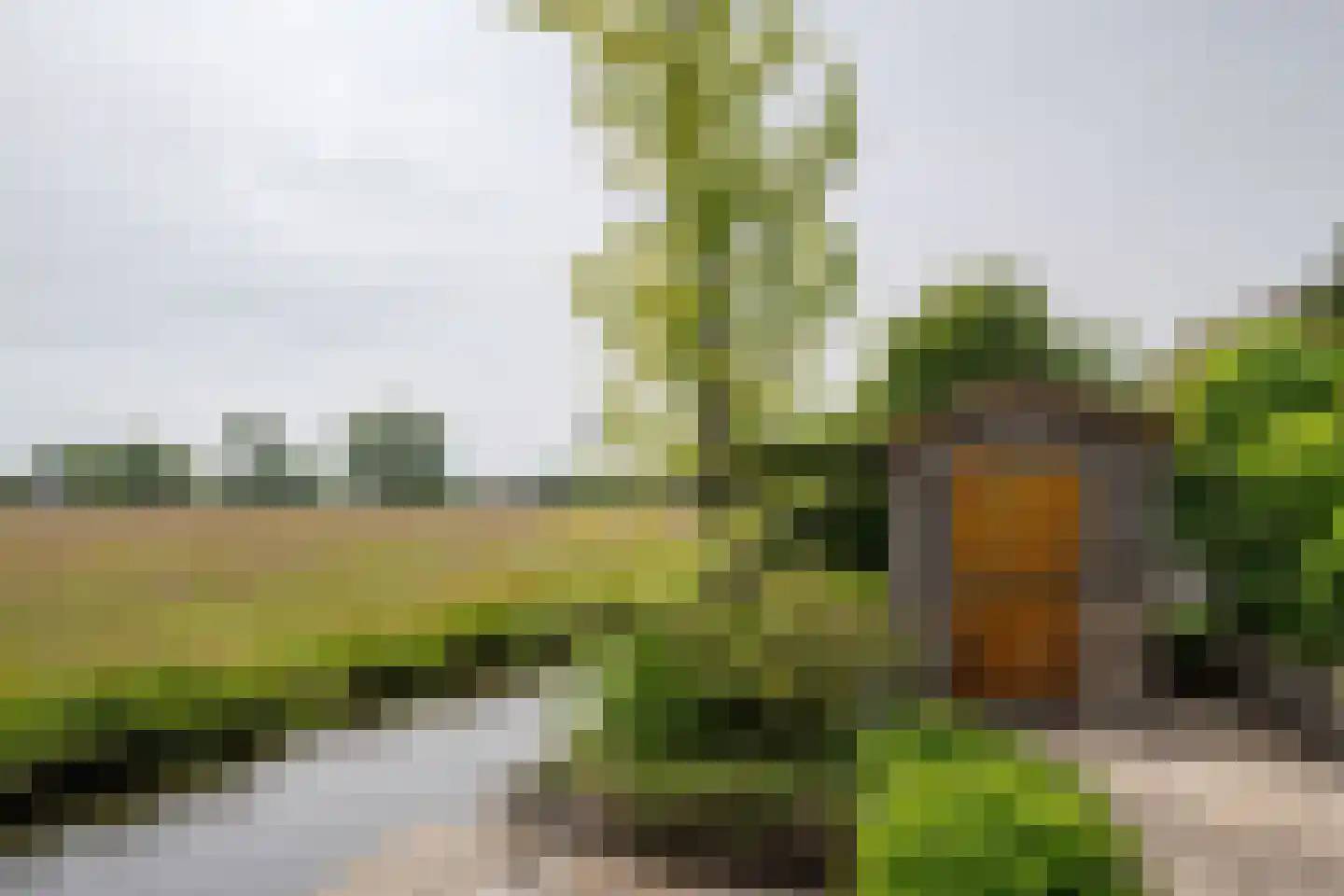 Park Oosterspaarn 44 Haarlem thumbnail 27