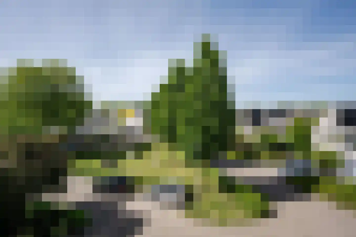 Park Oosterspaarn 44 Haarlem thumbnail 57