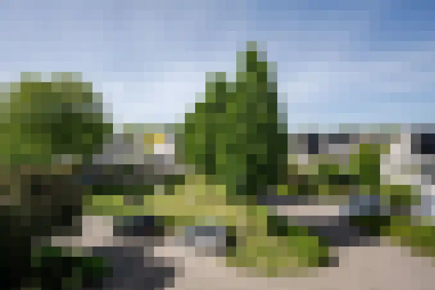 Park Oosterspaarn 44 Haarlem thumbnail 61