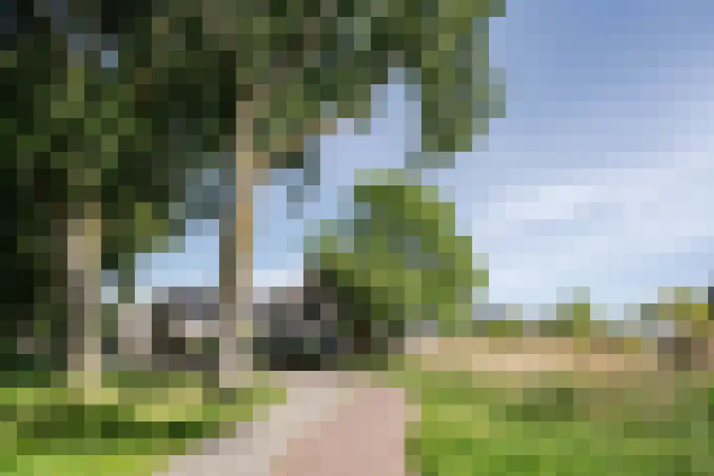 Park Oosterspaarn 44 Haarlem thumbnail 66