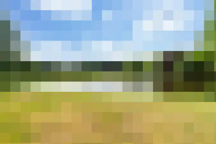 Park Oud Wassenaar 39 Wassenaar thumbnail 20