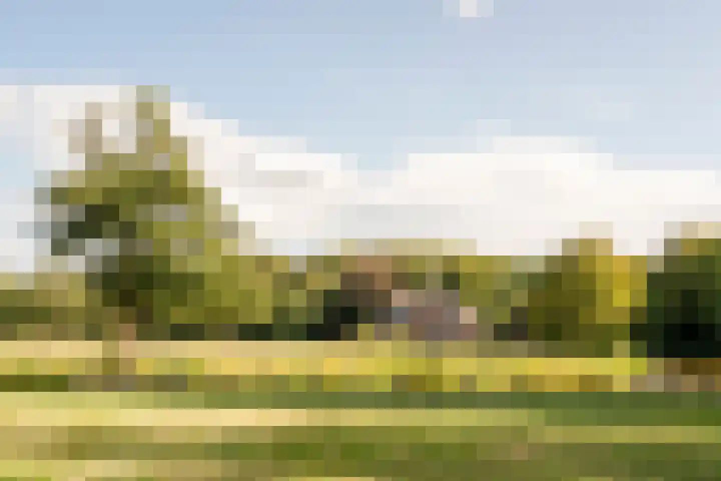 Park Oud Wassenaar 40 Wassenaar thumbnail 36