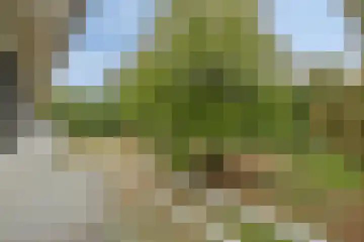 Park Reeburg 12 Vught thumbnail 29