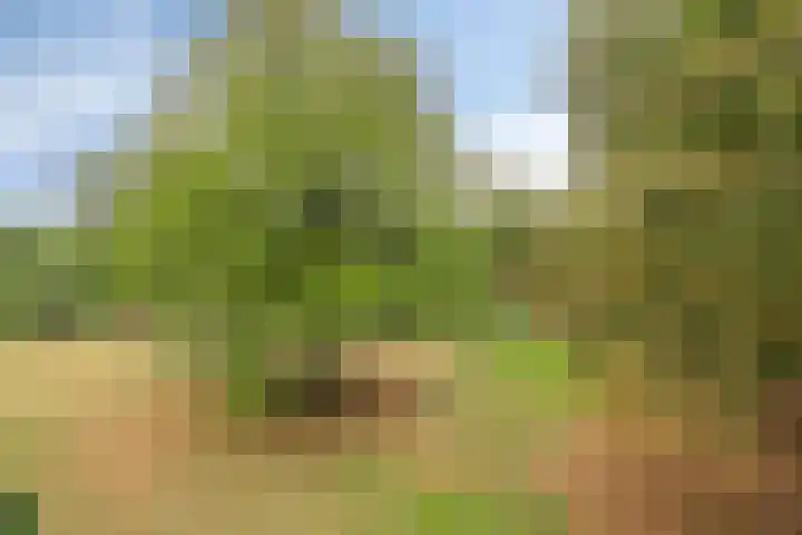 Park Reeburg 12 Vught thumbnail 31