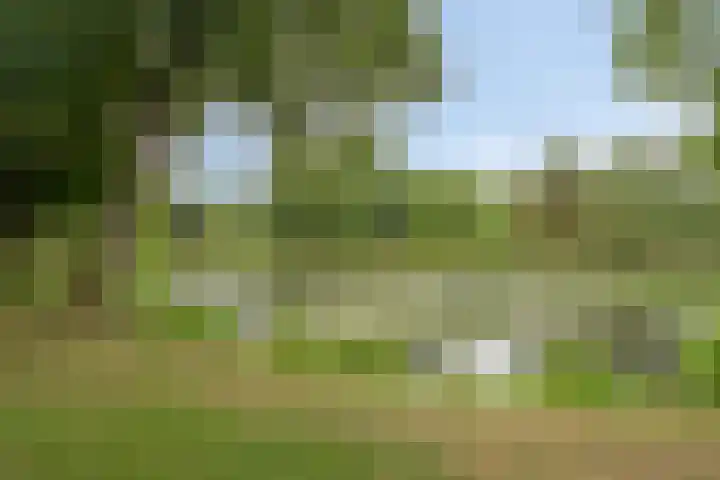 Park Reeburg 12 Vught thumbnail 33