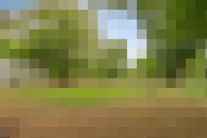 Park Reeburg 12 Vught thumbnail 34