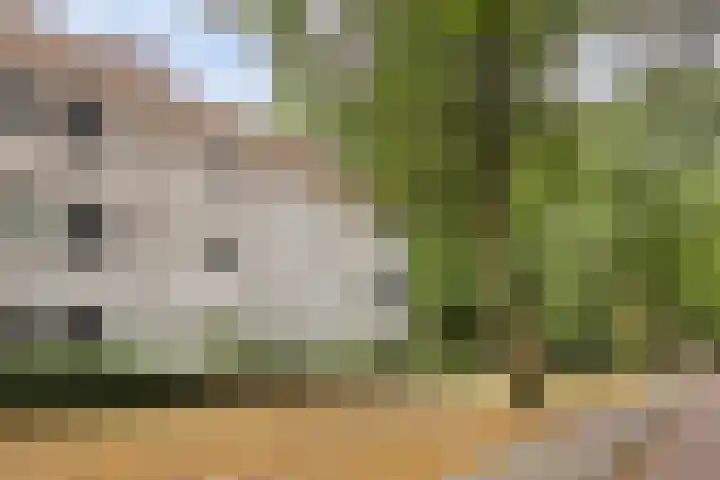 Park Reeburg 12 Vught thumbnail 6