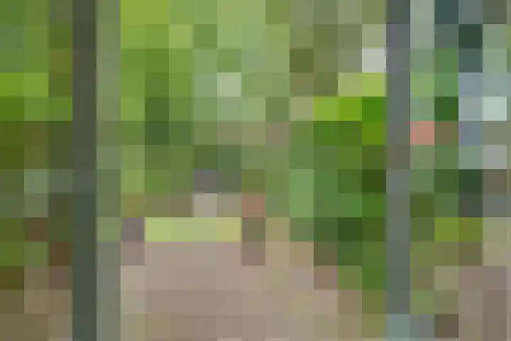 Park Rodichem 101 Huis ter Heide thumbnail 11