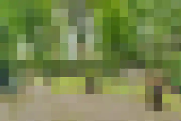Park Rodichem 101 Huis ter Heide thumbnail 12