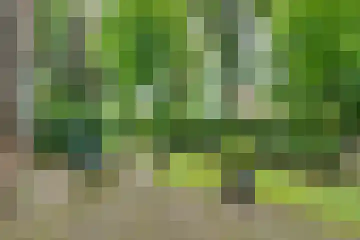 Park Rodichem 101 Huis ter Heide thumbnail 13