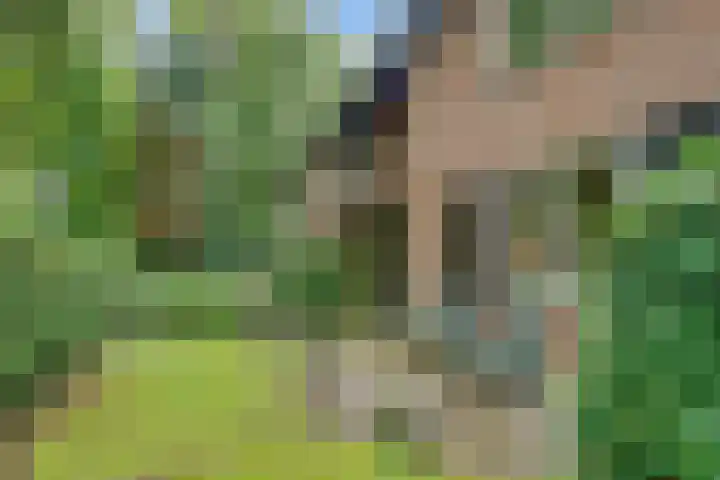 Park Rodichem 101 Huis ter Heide thumbnail 14